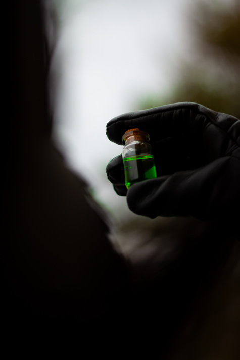 Формула життя #1